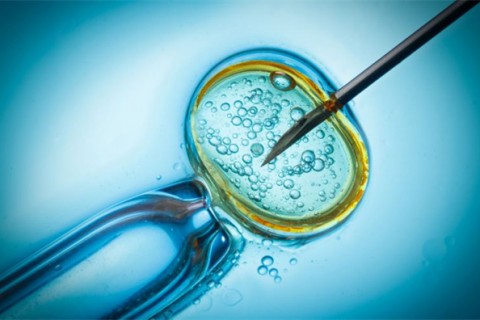 http://qqkaixin.com/post/199.html|杭州供卵助孕