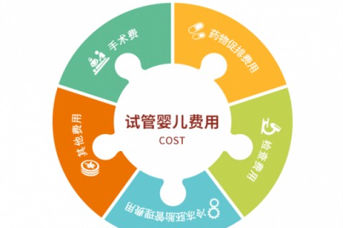 http://qqkaixin.com/post/189.html|杭州助孕案例